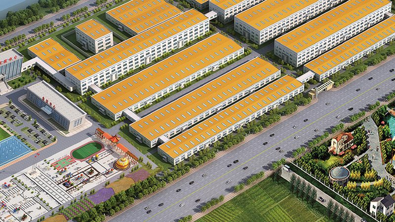 进口营养品与国产营养品的差异解析